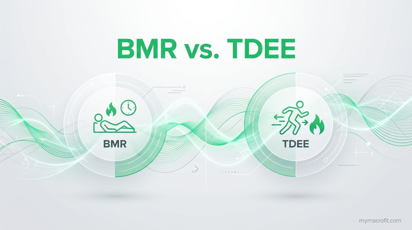 BMR vs TDEE: The Complete Explanation