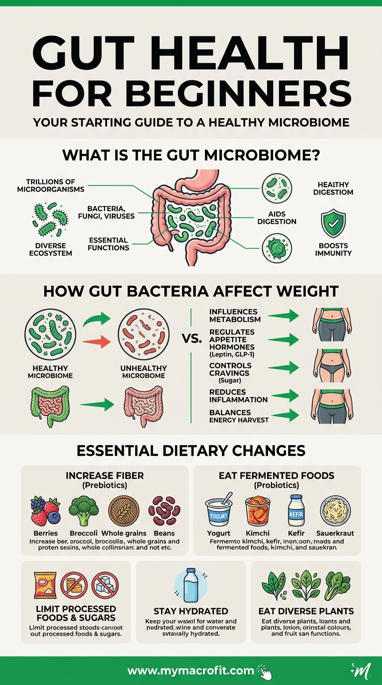 Gut health for beginners, the microbiome explained, how gut bacteria affect weight, and key dietary changes