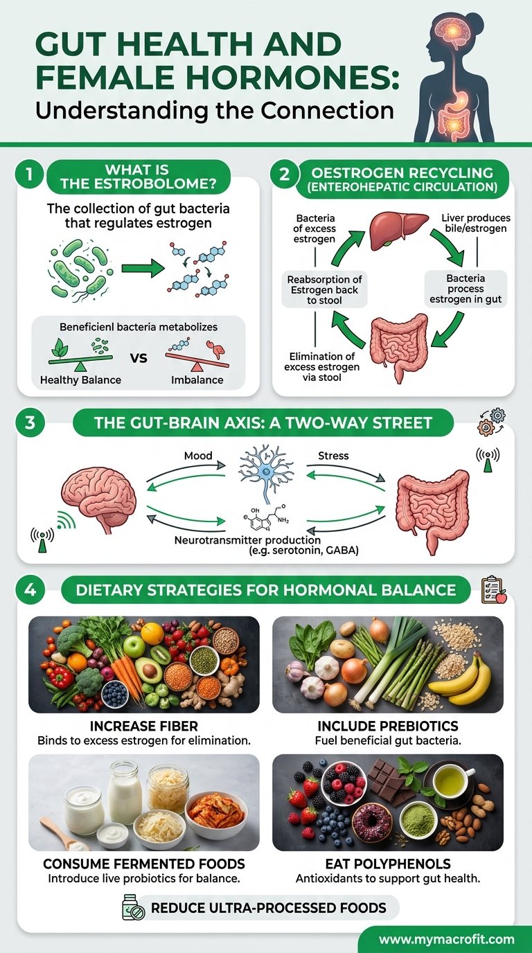 Gut health and female hormones, the estrobolome, oestrogen recycling, gut-brain axis, and dietary strategies for hormonal balance