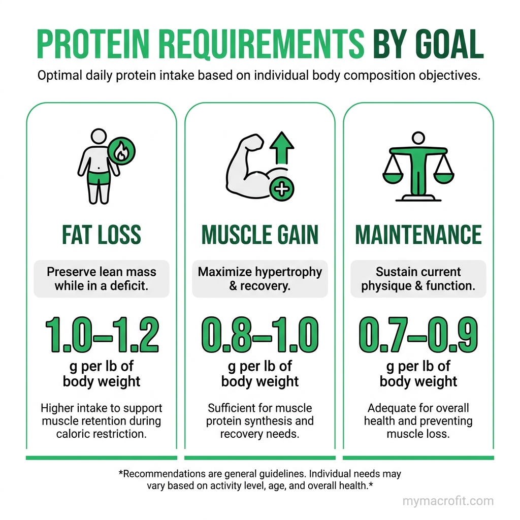 Daily protein needs, body weight formula showing 1.6-2.2g per kg with examples at 60kg, 75kg and 90kg