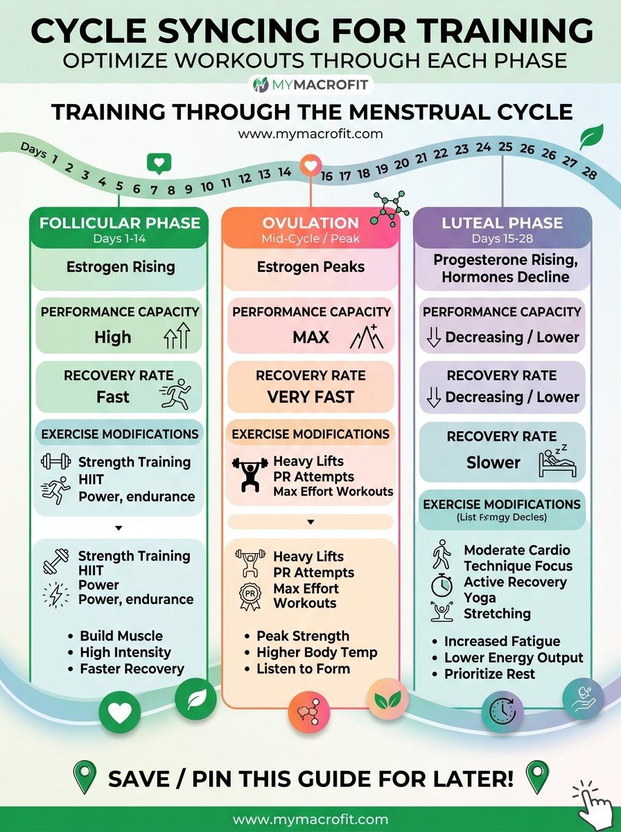 Training around the menstrual cycle, performance capacity, recovery rate, and exercise adjustments for each phase